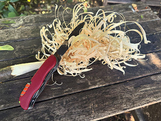5 ways to Practise Bushcraft