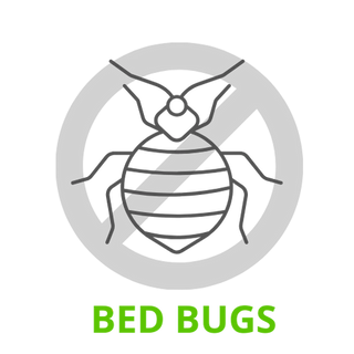Mosquito Repellent Pump Spray 100ml | Midge, Tick Repellent