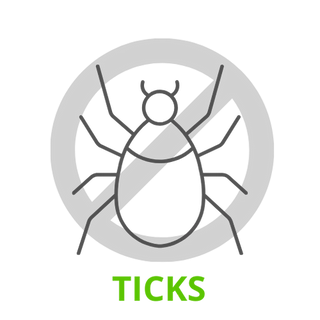 Mosquito Repellent Pump Spray 100ml | Midge, Tick Repellent