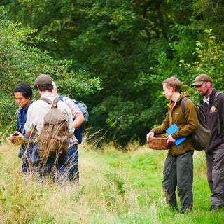 Autumn Foraging Course