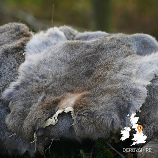The Woodland Ways Fur on Hide Working Weekend