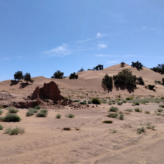 The Woodland Ways Sahara Desert Expedition