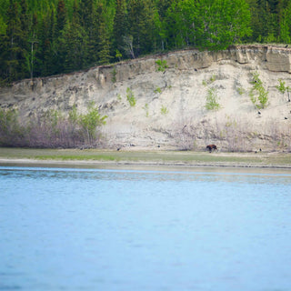 The Yukon River Canoeing Expedition