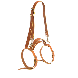 Frost River Leather Blanket Harness