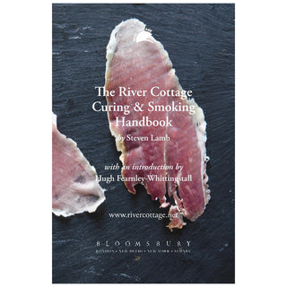 Curing & Smoking: River Cottage Handbook No.13 by Steven Lamb