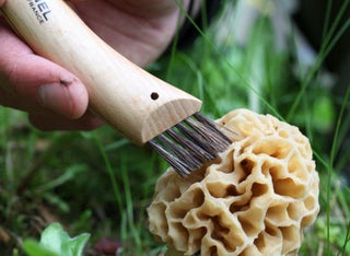 Opinel Mushroom Picking Knife No.8