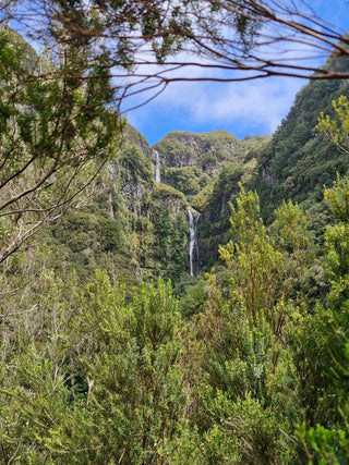 Introducing Bushcraft Skills to your Holidays - Images from Madeira