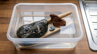 Soaking a bow drill and hearth board.