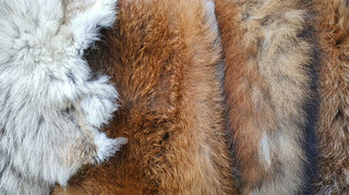 Furs