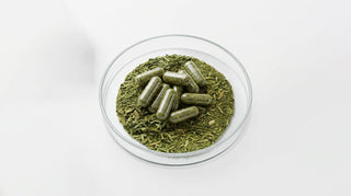 Woodland Ways - Making Herbal Capsules