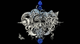 Woodland Ways - Panpsychism