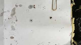 Vole track in ink trap