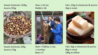 Woodland Ways - Nicola's Year on the Land Roundup