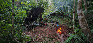 Woodland Ways - One of the lessons the Jungle Taught Me
