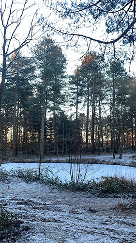 Woodland Ways - The Benefits of Cold Weather Layering