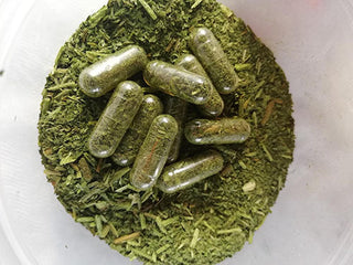 Woodland Ways - Making Herbal Capsules