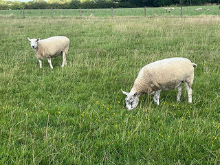 Woodland Ways - Spinning Wool from Scratch