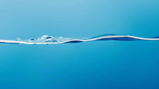 First Need Portable Water Purifiers