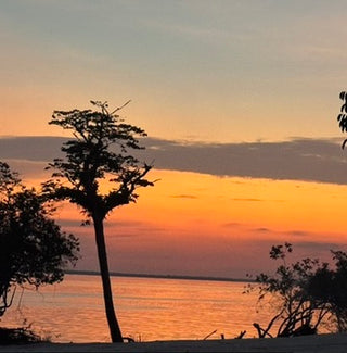 Amazon Jungle Bushcraft Expedition