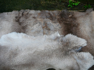 Rabbit Skin Tanned Fur