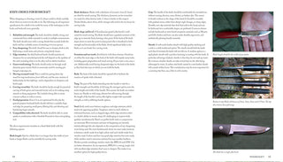 A Sample page of Paul Kirtley's Core Bushcraft book, focusing on knife selection.