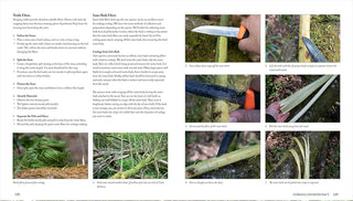 A Sample page of Paul Kirtley's Core Bushcraft book, focusing on Natural Fibers.
