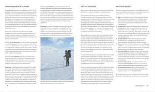 A Sample page of Paul Kirtley's Core Bushcraft book, focusing on heat loss and shelter principles.