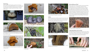 A Sample page of Paul Kirtley's Core Bushcraft book, focusing on Fire Lighting tinders.