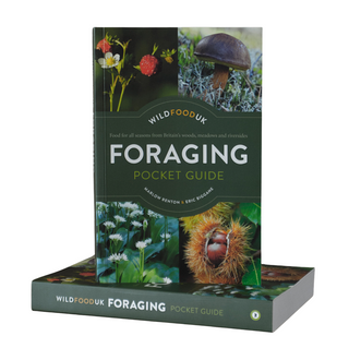 Wild Food UK Foraging Pocket Guide