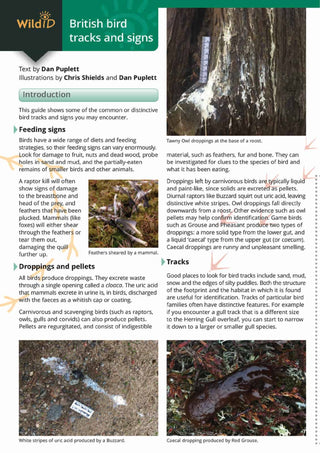 FSC British Bird Tracks & Signs