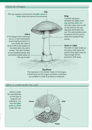 FSC Fungi Name Trail