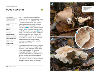 Wild Food UK Mushroom Foraging Guide