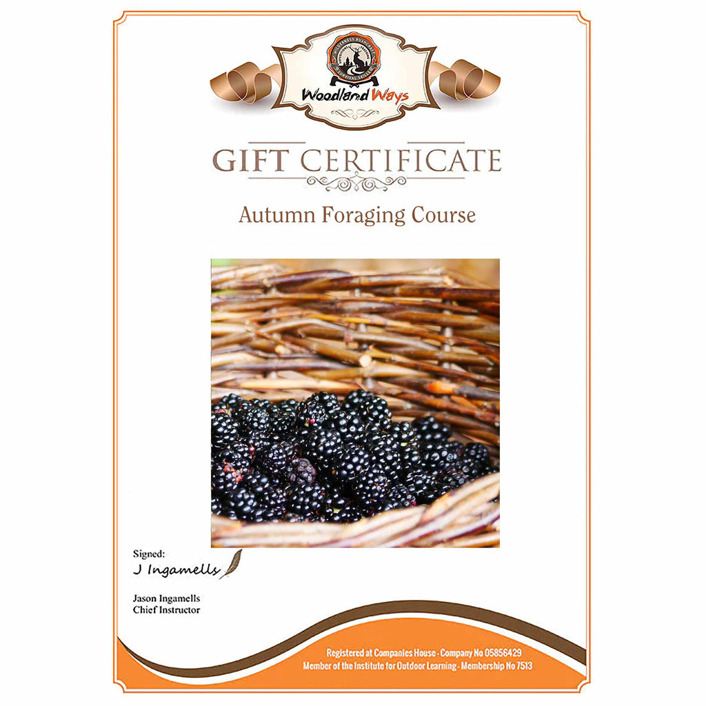 Autumn Foraging Course Gift Voucher