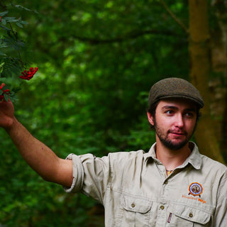 Woodland Ways Autumn Foraging Course