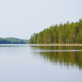 Canoeing and Camp Craft in Sweden with Woodland Ways