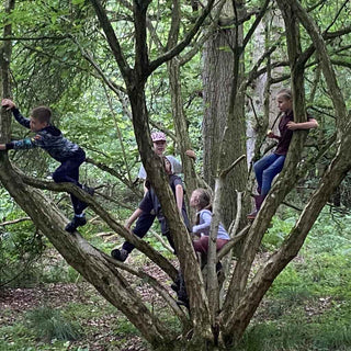 Woodland Ways - children climbing tree