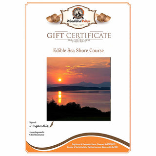 The Edible Sea Shore 5 Day Course Gift Voucher from Woodland Ways