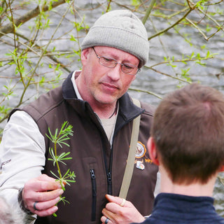 Hedgerow Medicine and Medicinal Wild Plants Course