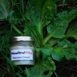 Woodland Ways Plantain Cream