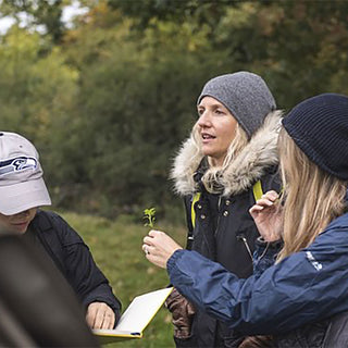 Hedgerow Medicine and Medicinal Wild Plants Course