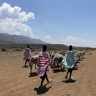 Maasai Warrior Expedition and The Maasai Women's Story