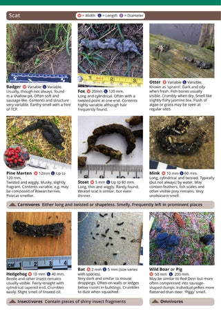 FSC - Mammals Tracks & Signs