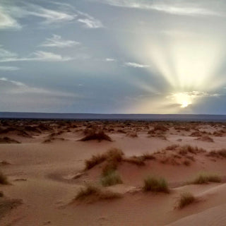 The Woodland Ways Sahara Desert Expedition