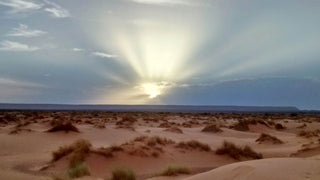 Sahara Desert Survival Expedition