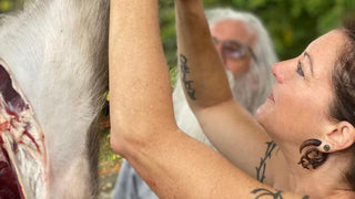 Woodland Ways - Using The Whole Animal