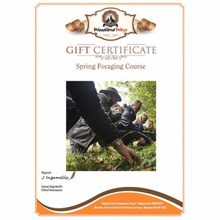 The Woodlands Way Spring Foraging Course Gift Voucher