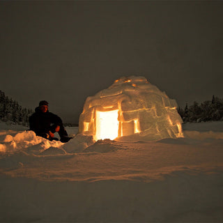 Swedish Aurora Winter Survival Expedition