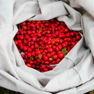 Wild fruits and berries