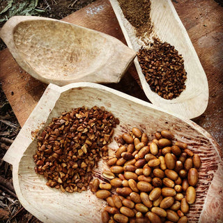 Processing flour from wild plants 