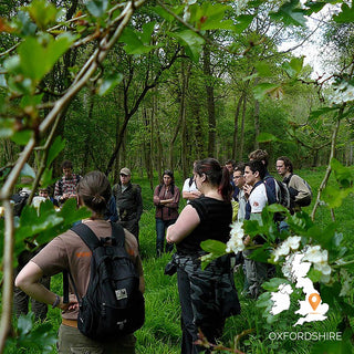 The Woodland Ways Wild Food Foraging and Preparation Weekend Course